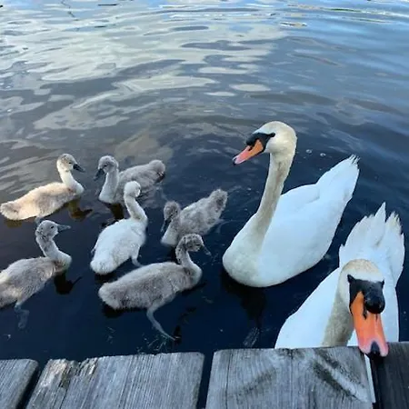 Prázdninový dům At The Water, Fire Place, Boat And Sup Rent, Near Amsterdam