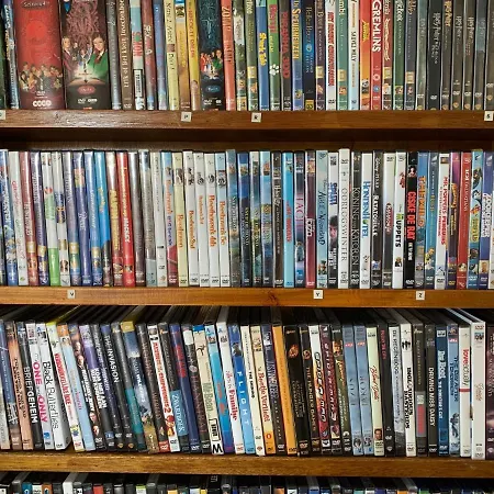 At The Water, Fire Place, Boat And Sup Rent, Near Amsterdam Aalsmeer