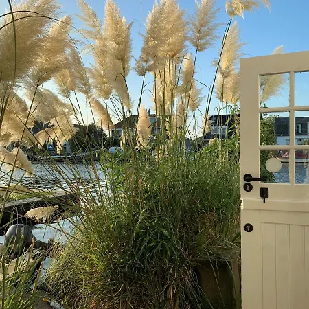 At The Water, Fire Place, Boat And Sup Rent, Near Amsterdam Aalsmeer