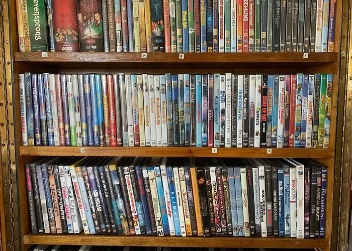 At The Water, Fire Place, Boat And Sup Rent, Near Amsterdam Aalsmeer