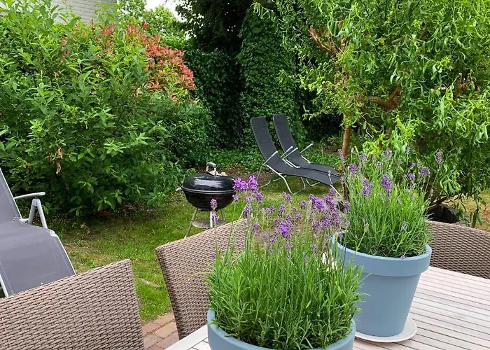 At The Water, Fire Place, Boat And Sup Rent, Near Amsterdam