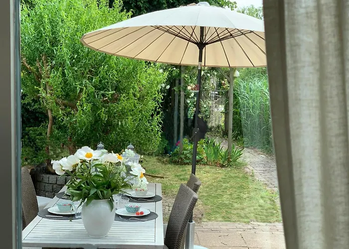 At The Water, Fire Place, Boat And Sup Rent, Near Amsterdam