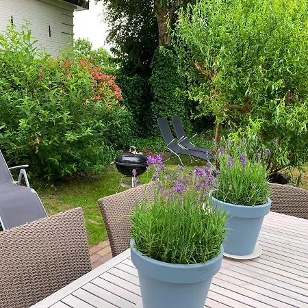 At The Water, Fire Place, Boat And Sup Rent, Near Amsterdam